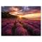 Designart - Sunrise & Dramatic Clouds Over Lavender Field IV - Farmhouse Canvas Wall Art Print